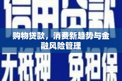汾阳购物贷款，消费新趋势与金融风险管理