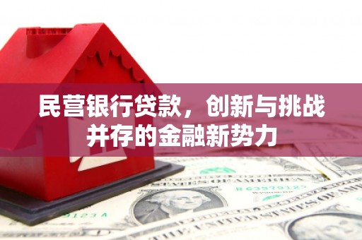 汾阳民营银行贷款，创新与挑战并存的金融新势力