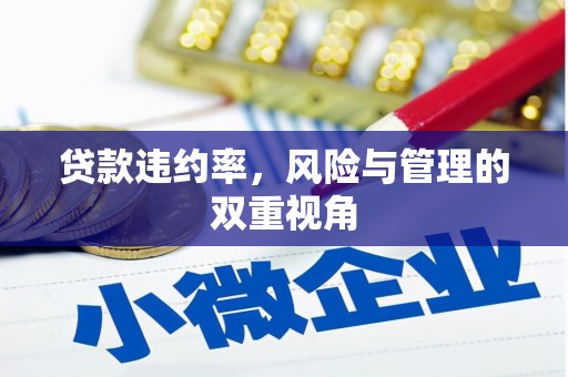 汾阳贷款违约率，风险与管理的双重视角