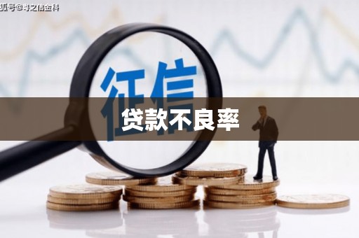 汾阳贷款不良率
