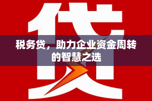 汾阳税务贷，助力企业资金周转的智慧之选
