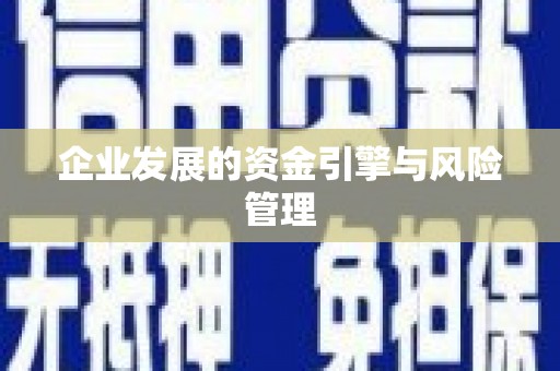 汾阳企业发展的资金引擎与风险管理