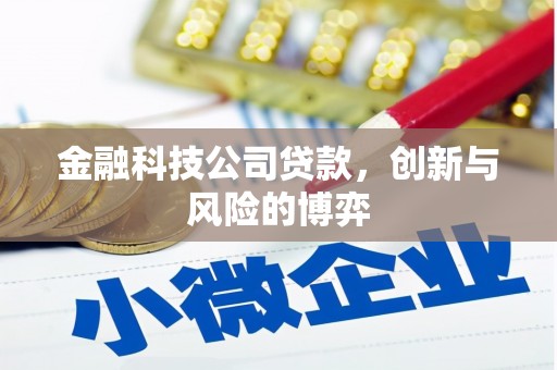汾阳金融科技公司贷款，创新与风险的博弈