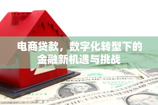 汾阳电商贷款，数字化转型下的金融新机遇与挑战