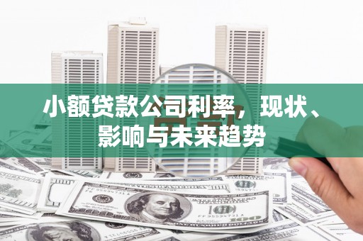 汾阳小额贷款公司利率，现状、影响与未来趋势