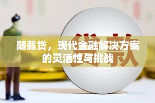 汾阳随薪贷，现代金融解决方案的灵活性与挑战