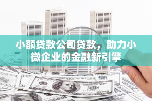 汾阳小额贷款公司贷款，助力小微企业的金融新引擎