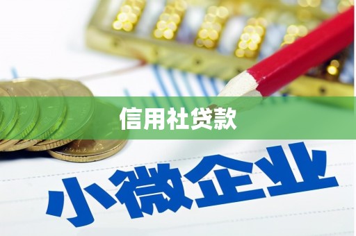 汾阳信用社贷款
