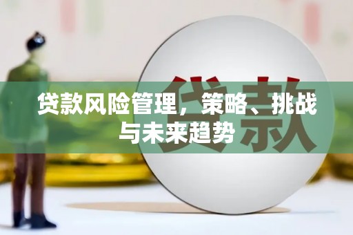 汾阳贷款风险管理，策略、挑战与未来趋势