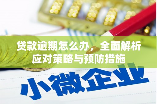汾阳贷款逾期怎么办，全面解析应对策略与预防措施