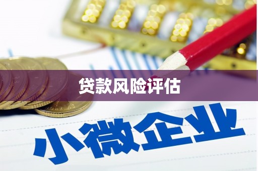 汾阳贷款风险评估