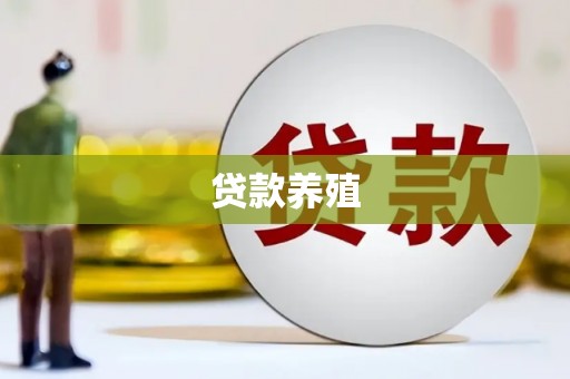 汾阳贷款养殖