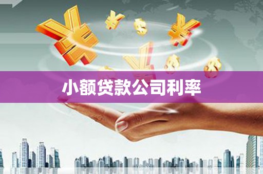 汾阳小额贷款公司利率