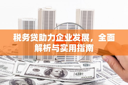 汾阳税务贷助力企业发展，全面解析与实用指南