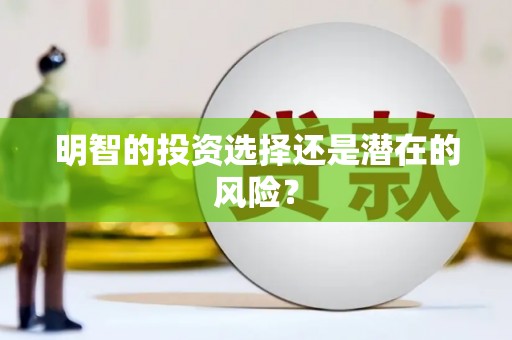 汾阳明智的投资选择还是潜在的风险？