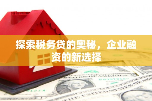 汾阳探索税务贷的奥秘，企业融资的新选择
