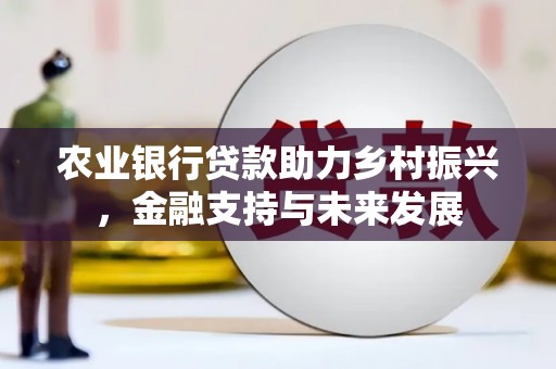 汾阳农业银行贷款助力乡村振兴，金融支持与未来发展