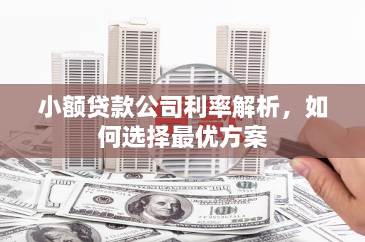 汾阳小额贷款公司利率解析，如何选择最优方案