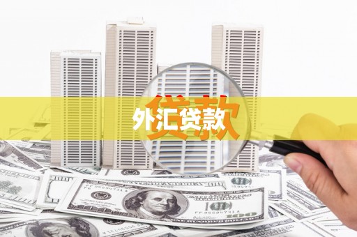 汾阳外汇贷款