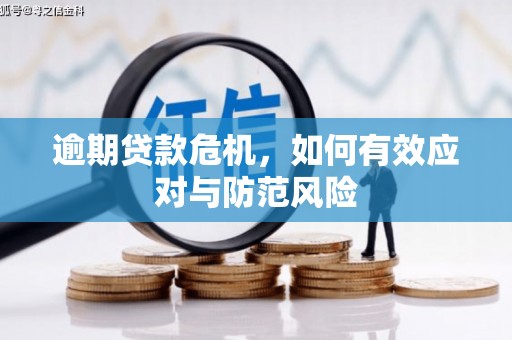 汾阳逾期贷款危机，如何有效应对与防范风险