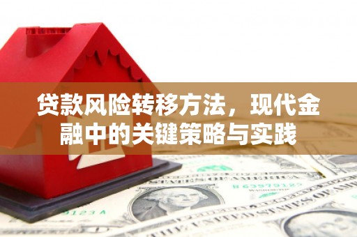 汾阳贷款风险转移方法，现代金融中的关键策略与实践