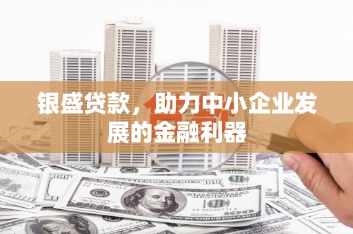 汾阳银盛贷款，助力中小企业发展的金融利器