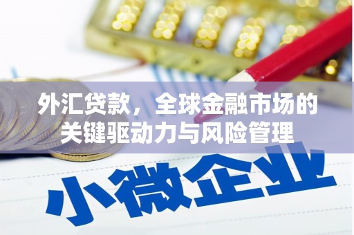 汾阳外汇贷款，全球金融市场的关键驱动力与风险管理