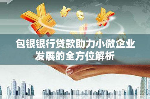 汾阳包银银行贷款助力小微企业发展的全方位解析