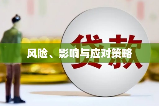 汾阳风险、影响与应对策略