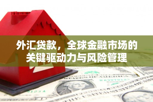 汾阳外汇贷款，全球金融市场的关键驱动力与风险管理