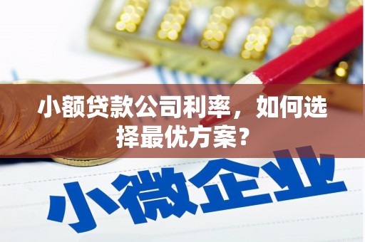 汾阳小额贷款公司利率，如何选择最优方案？