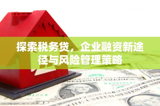 汾阳探索税务贷，企业融资新途径与风险管理策略