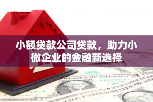 汾阳小额贷款公司贷款，助力小微企业的金融新选择