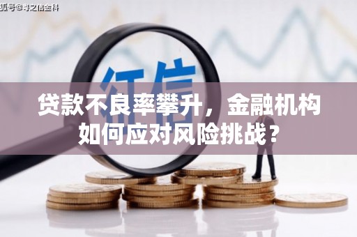 汾阳贷款不良率攀升，金融机构如何应对风险挑战？