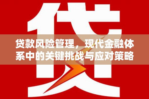 汾阳贷款风险管理，现代金融体系中的关键挑战与应对策略