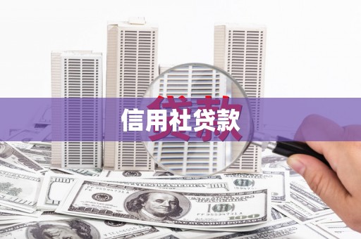 汾阳信用社贷款