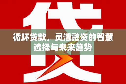 汾阳循环贷款，灵活融资的智慧选择与未来趋势