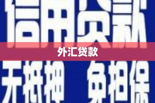 汾阳外汇贷款
