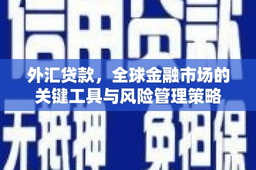 汾阳外汇贷款，全球金融市场的关键工具与风险管理策略