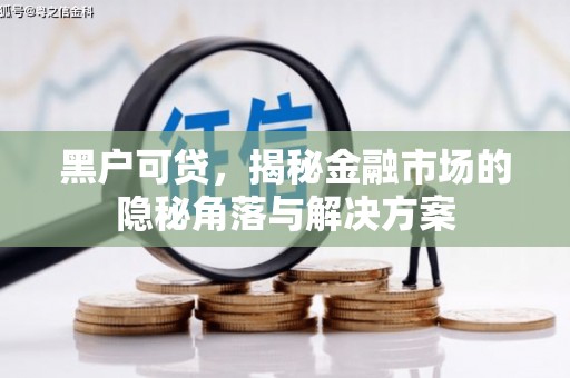 汾阳黑户可贷，揭秘金融市场的隐秘角落与解决方案