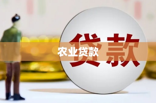 汾阳农业贷款