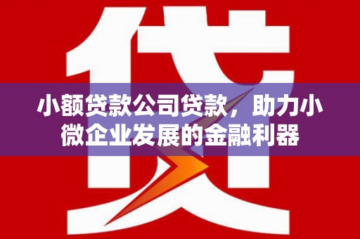 汾阳小额贷款公司贷款，助力小微企业发展的金融利器