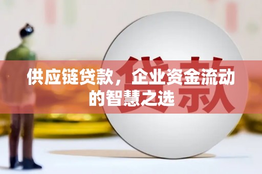 汾阳供应链贷款，企业资金流动的智慧之选