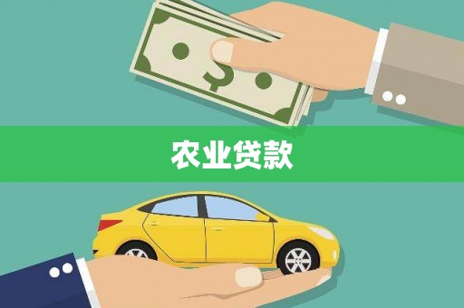 汾阳农业贷款