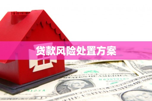 汾阳贷款风险处置方案