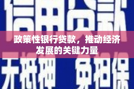 汾阳政策性银行贷款，推动经济发展的关键力量