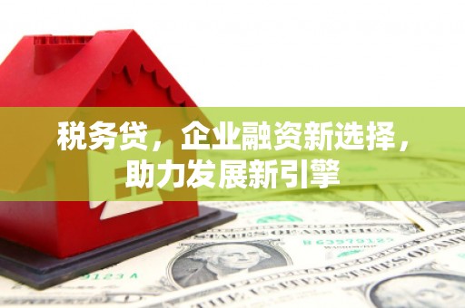 汾阳税务贷，企业融资新选择，助力发展新引擎
