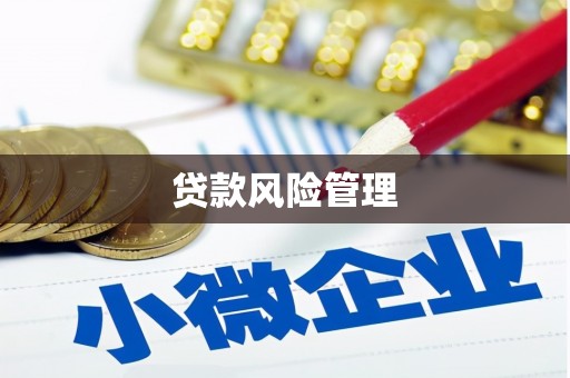 汾阳贷款风险管理