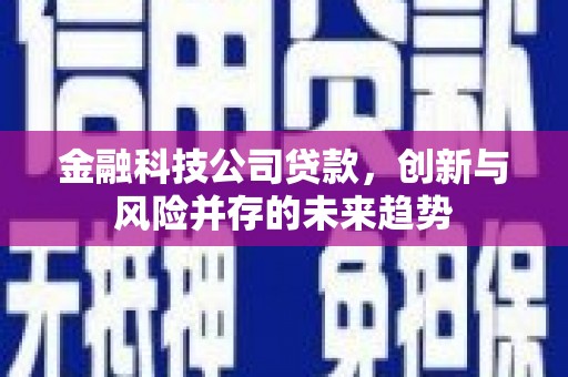 汾阳金融科技公司贷款，创新与风险并存的未来趋势