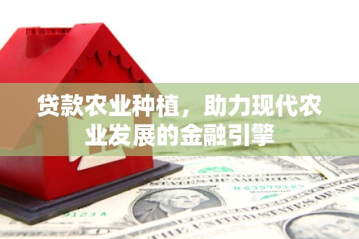 汾阳贷款农业种植，助力现代农业发展的金融引擎
